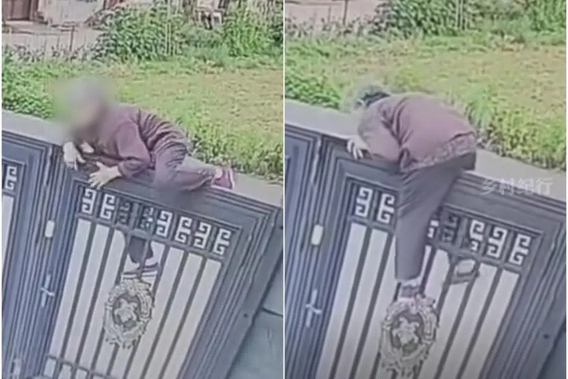 The director of the nursing home said the woman suffers from severe Alzheimer’s disease.