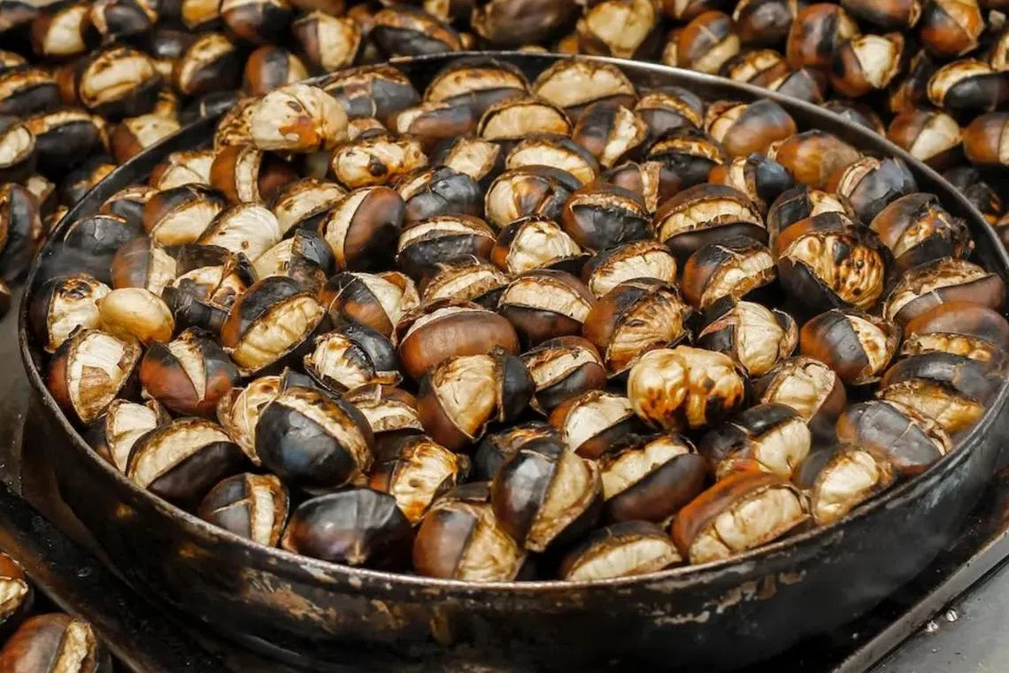 Unlicensed street hawker Tan Hee Meng who peddled roasted chestnuts was fined $27,600 on May 3, 2023.