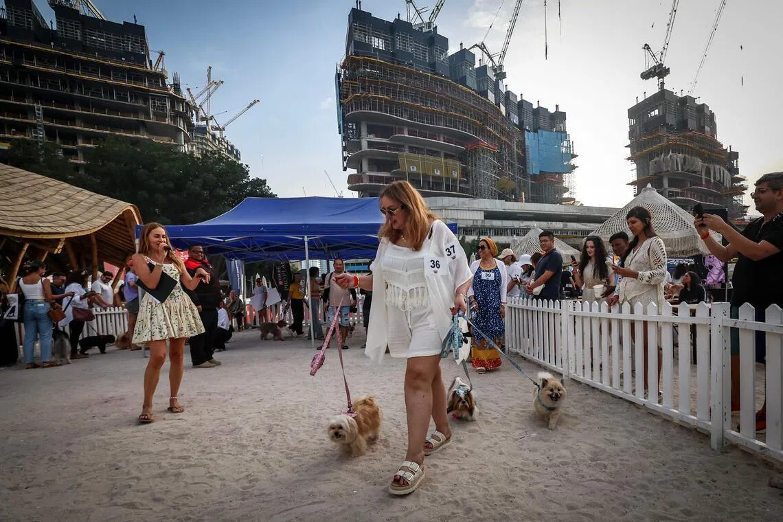 A woman walks her dogs during the Barkfest dog festival at Barasti Beach in Dubai on April 4. 