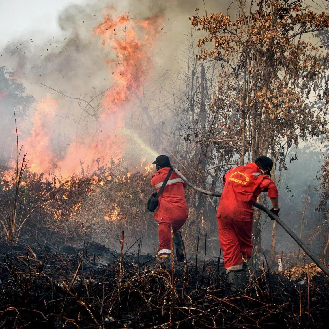 Firefighters work to extinguish a wildfire burning on peatland in Rimba Panjang, Riau province in Indonesia.