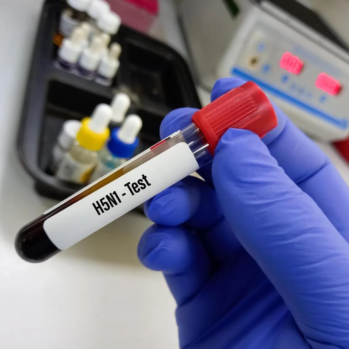 There is currently no detection of the flu in poultry.