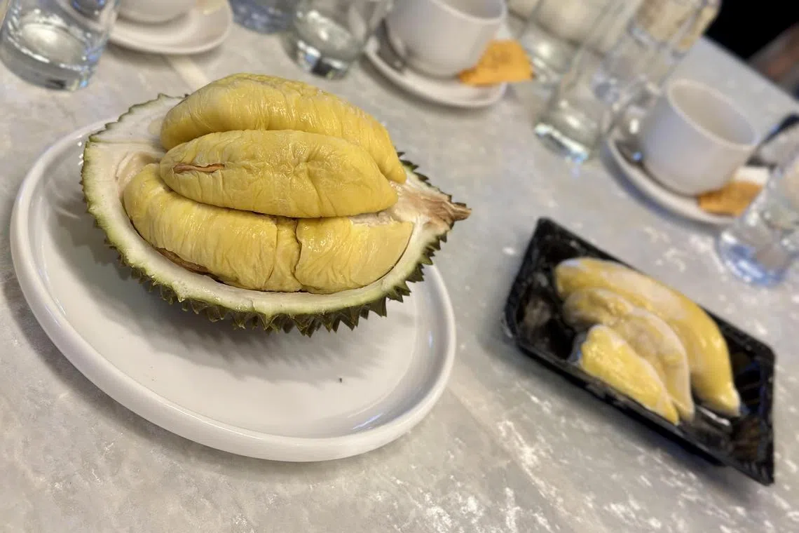 stdurian - PLS Plantations showcased both its fresh and frozen durians at the joint venture signing with Japanese agritech firm MYFARM Inc on Mar 5, 2023. The RM210 million ploughed in by MYFARM is the largest Japanese investment into durians and will go towards boosting production across PLS’ 1,500 hectares in Malaysia, as well as planting more trees towards a 10,000-hectare target. 


Credit: Shannon Teoh