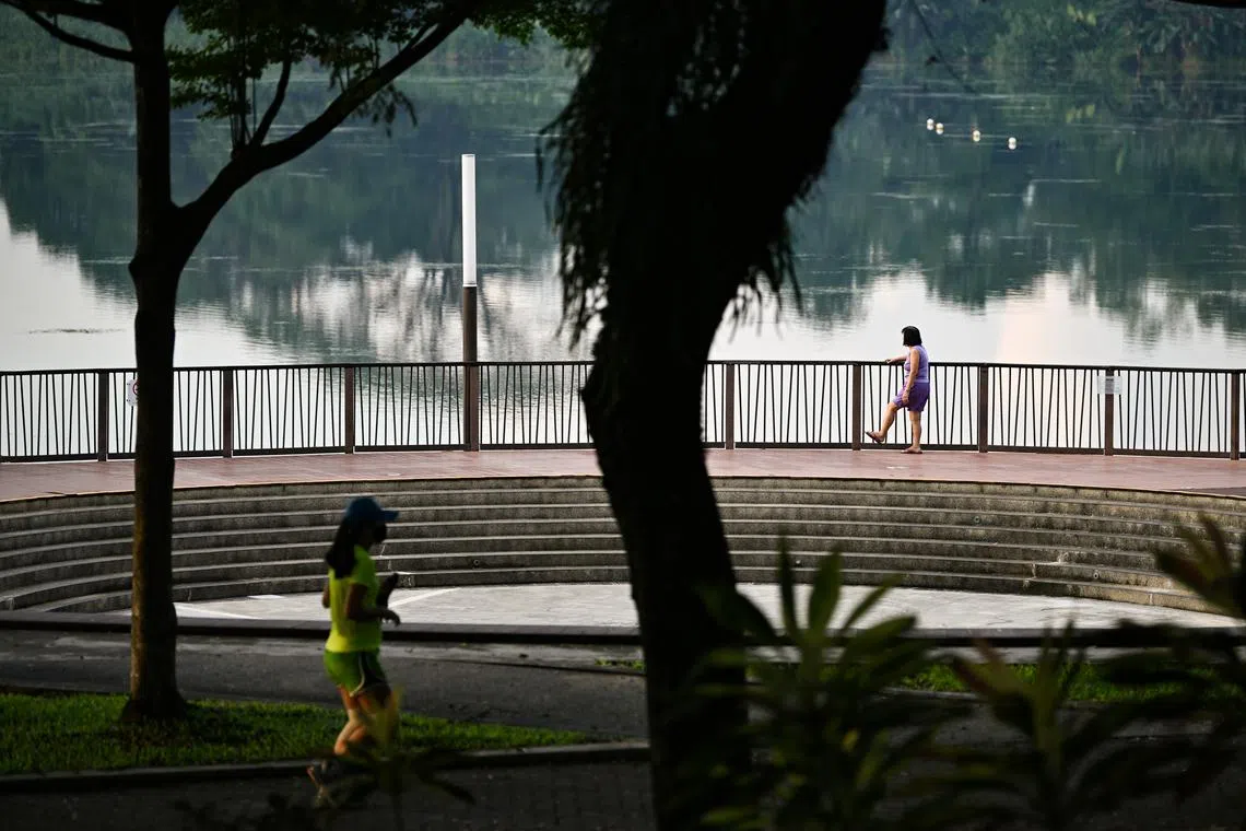 Neuroaesthetics is a subfield of both applied aesthetics and cognitive neuroscience, which studies the brain’s response to various forms of aesthetic experience.