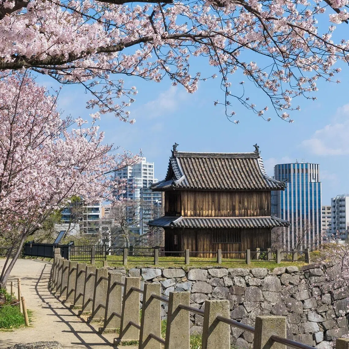 Participants can submit entries in five categories – Spring, Summer, Autumn, Winter and Video.