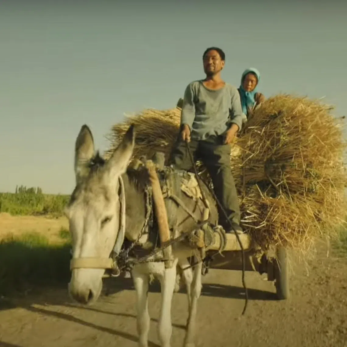 The Chinese film Return To Dust tells the story of how Ma and Cao grow to love each other as they build their own home and eke out a living. 