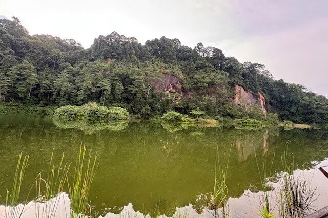 The Singapore Quarry, nestled between the Bukit Timah Nature Reserve and Dairy Farm Nature Park, sited on one of our walks.