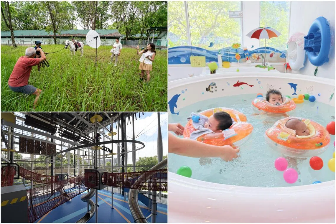 Child LifeSG Credits can be used across a network of approximately 200,000 PayNow and NETS merchants.