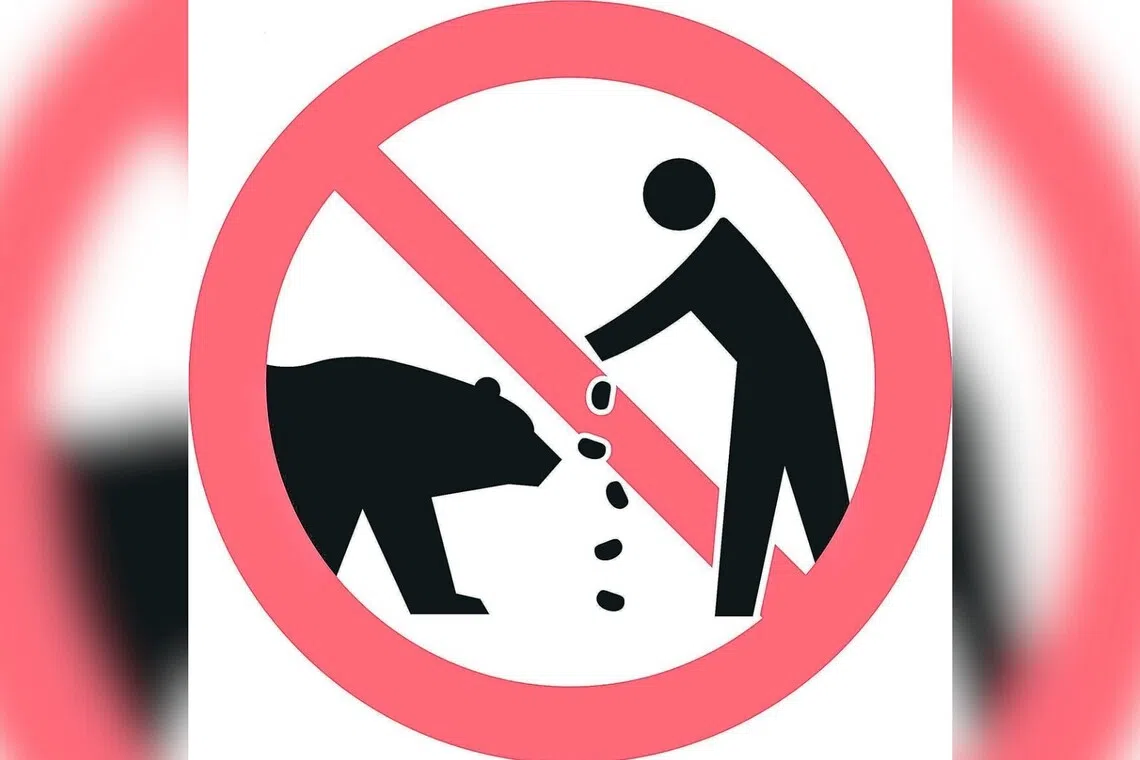 Japan releases new signs at tourist spots to warn against feeding or approaching bears
