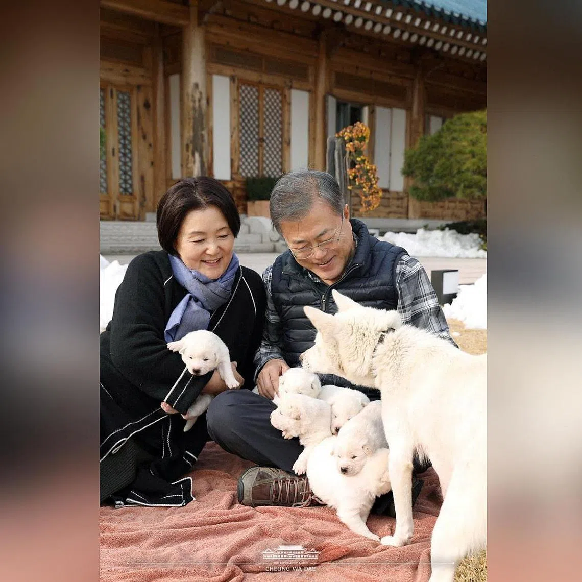 South Korea’s former president Moon Jae-in took the dogs to his personal residence after his term ended in May.