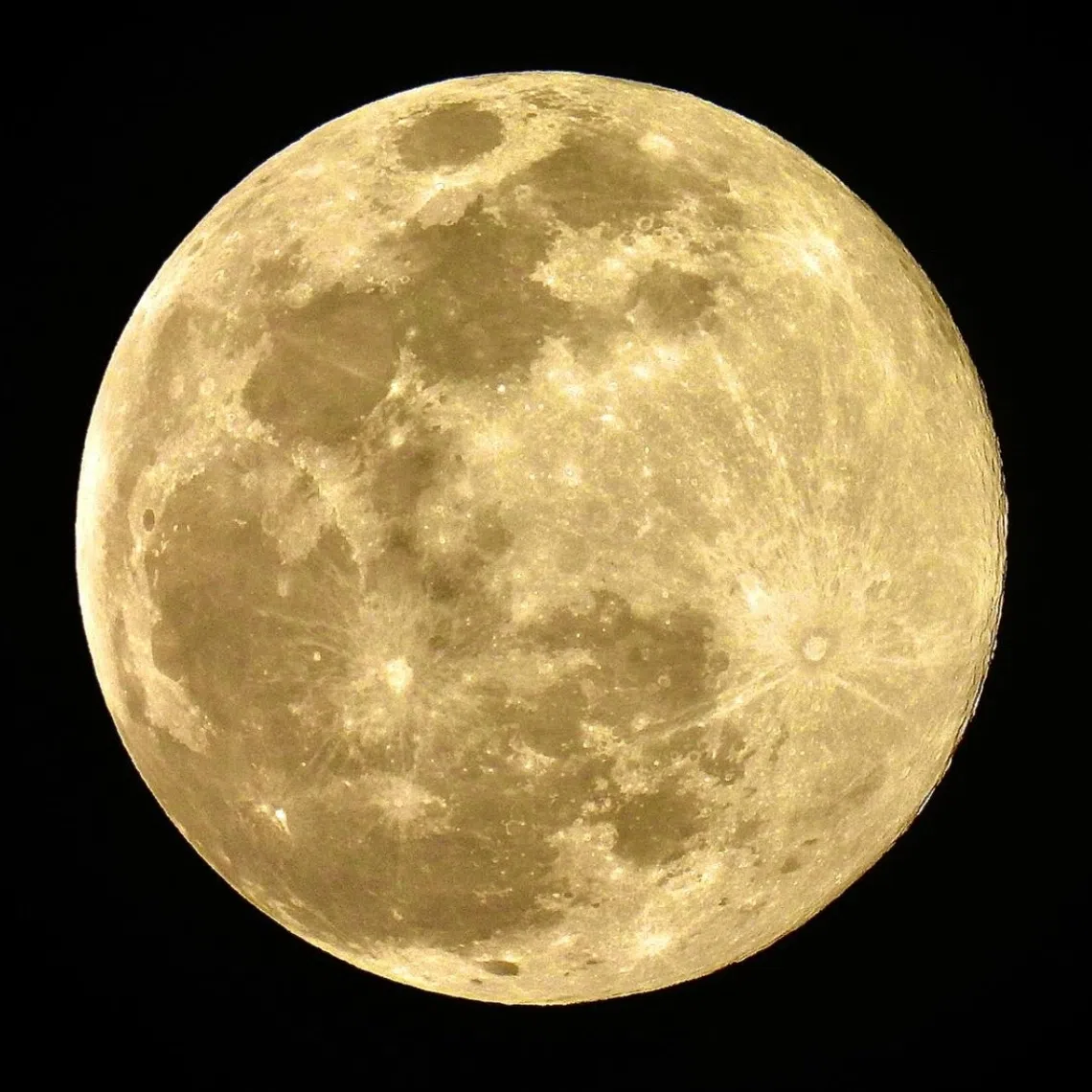 The Beaver Moon reached peak brightness at about 7.30pm, appearing larger and more luminous than usual. 