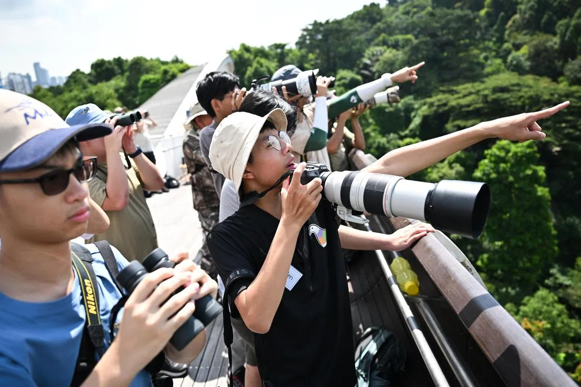 Kaeden Sim, 15, stands among other young birdwatching enthusiasts at Henderson Waves.