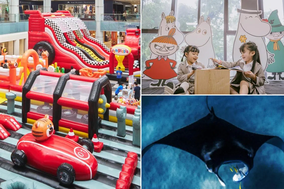 Take your kids to a racing-themed playground, a Moomin's 80th anniversary event and a guided session to learn about manta rays.