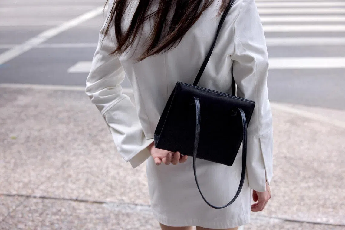 acaallss13 - Lily Handbag.
Credit to AALLSS