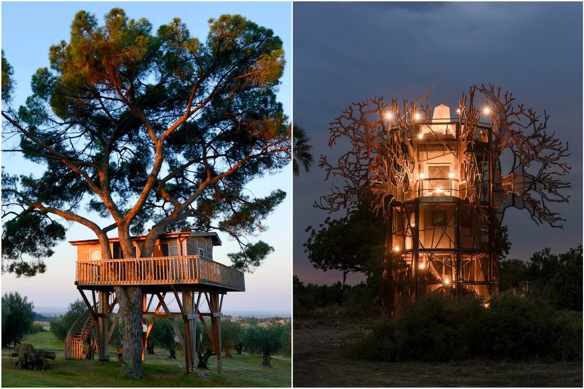The La Piantata (left), a tree house in Italy and tree house at the Xigera Safari Lodge in Botswana.