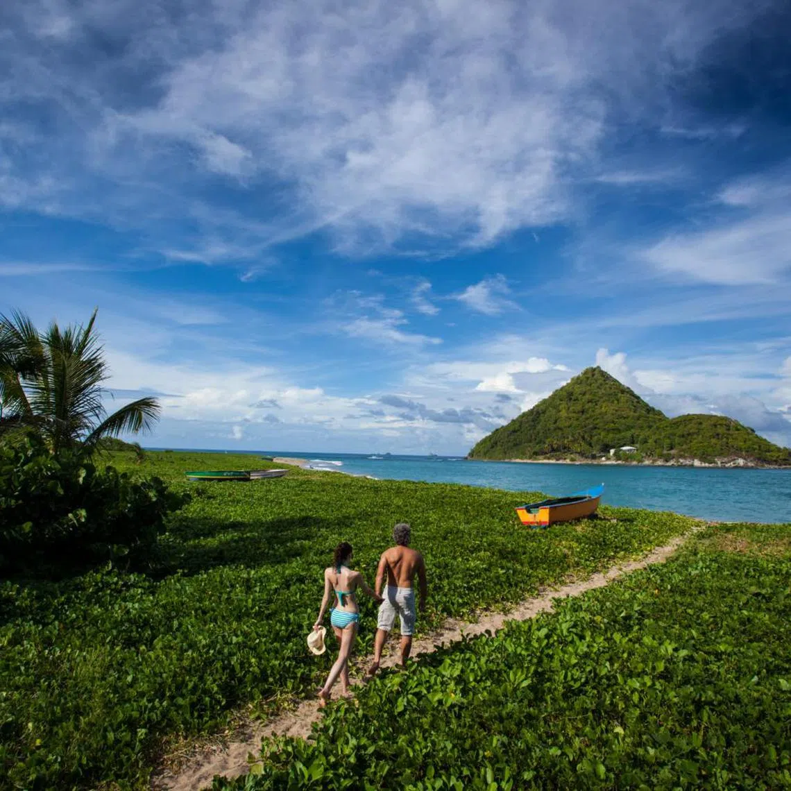 Known as the Spice Island, Grenada has been a politically stable tax haven since the US-led invasion in the 1980s.