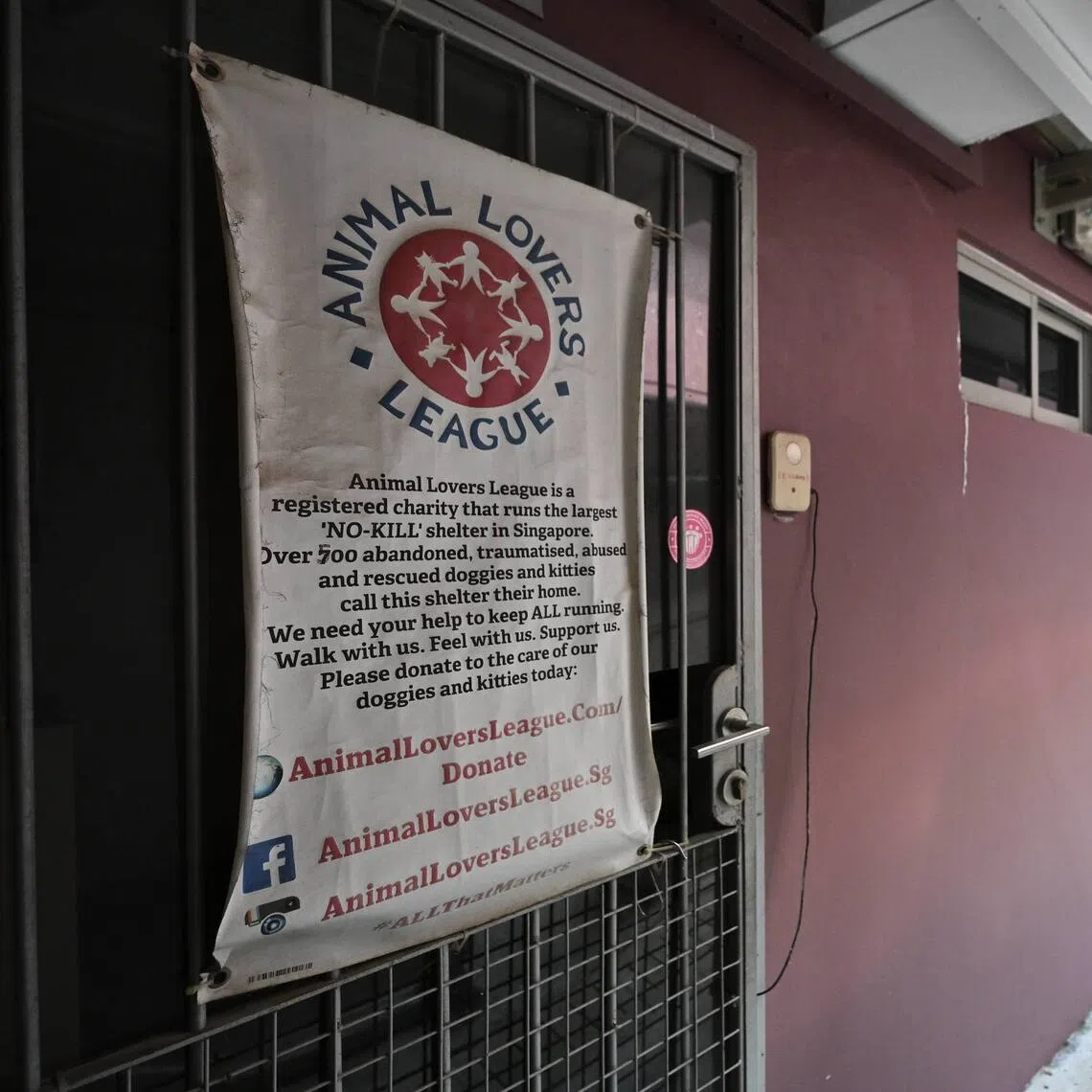 Animal Lovers League has been a tenant at The Animal Lodge, a facility supporting animal welfare groups and independent shelters, since March 2018.