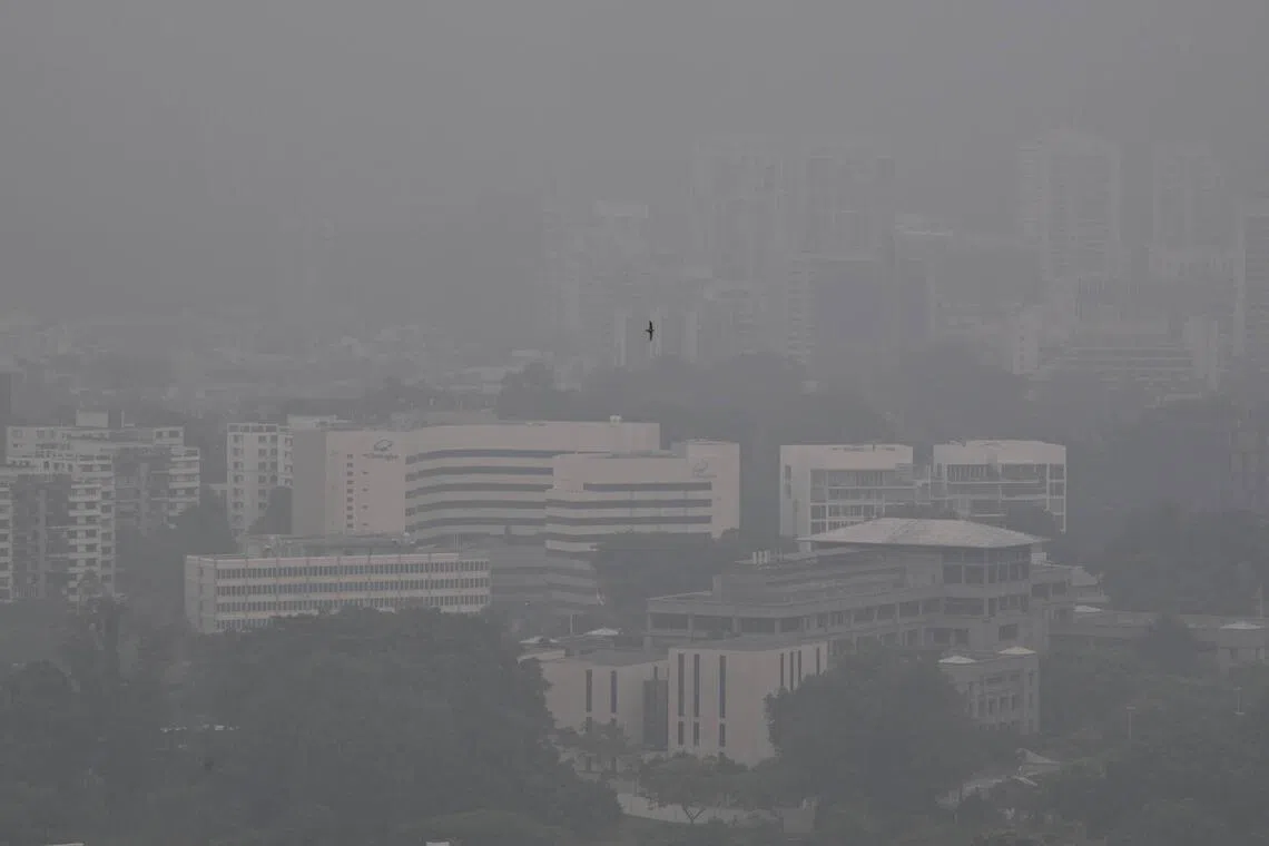Hazy conditions seen from the roof garden of SkyVille@Dawson at 5.09pm on Oct 10.