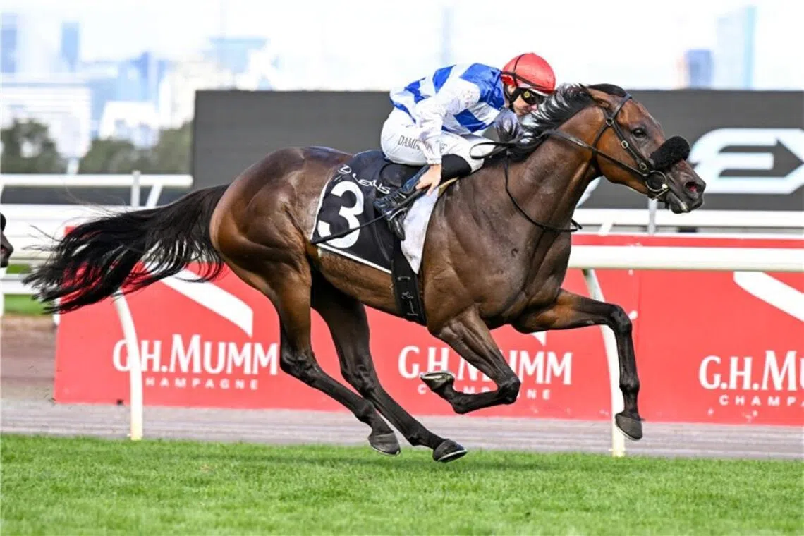 Whisky On The Hill - Whisky On The Hill


PHOTO: HKJC