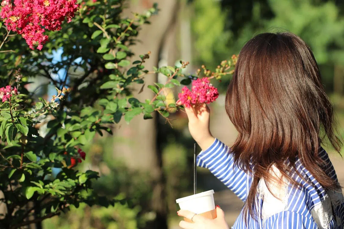 The basic premise of a delight practice is simple: you make a point to notice things in your everyday life that delight you.