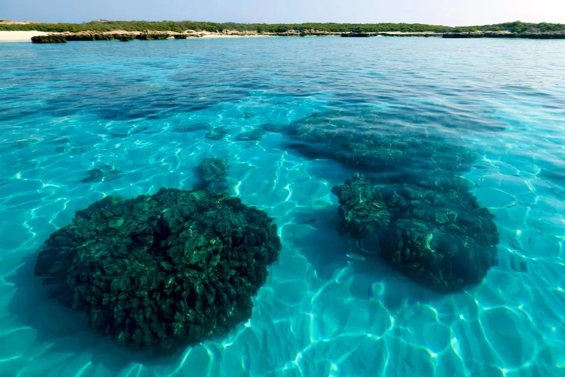 The ocean featured prominently at the recent COP28 climate summit, given ocean solutions are critical to fighting climate change.