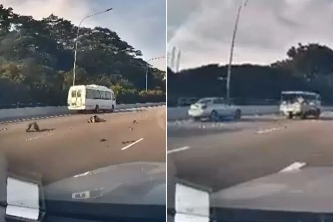 The police and Singapore Civil Defence Force said that they were alerted to the accident on the PIE towards Changi Airport at about 5.50pm on Sept 20.