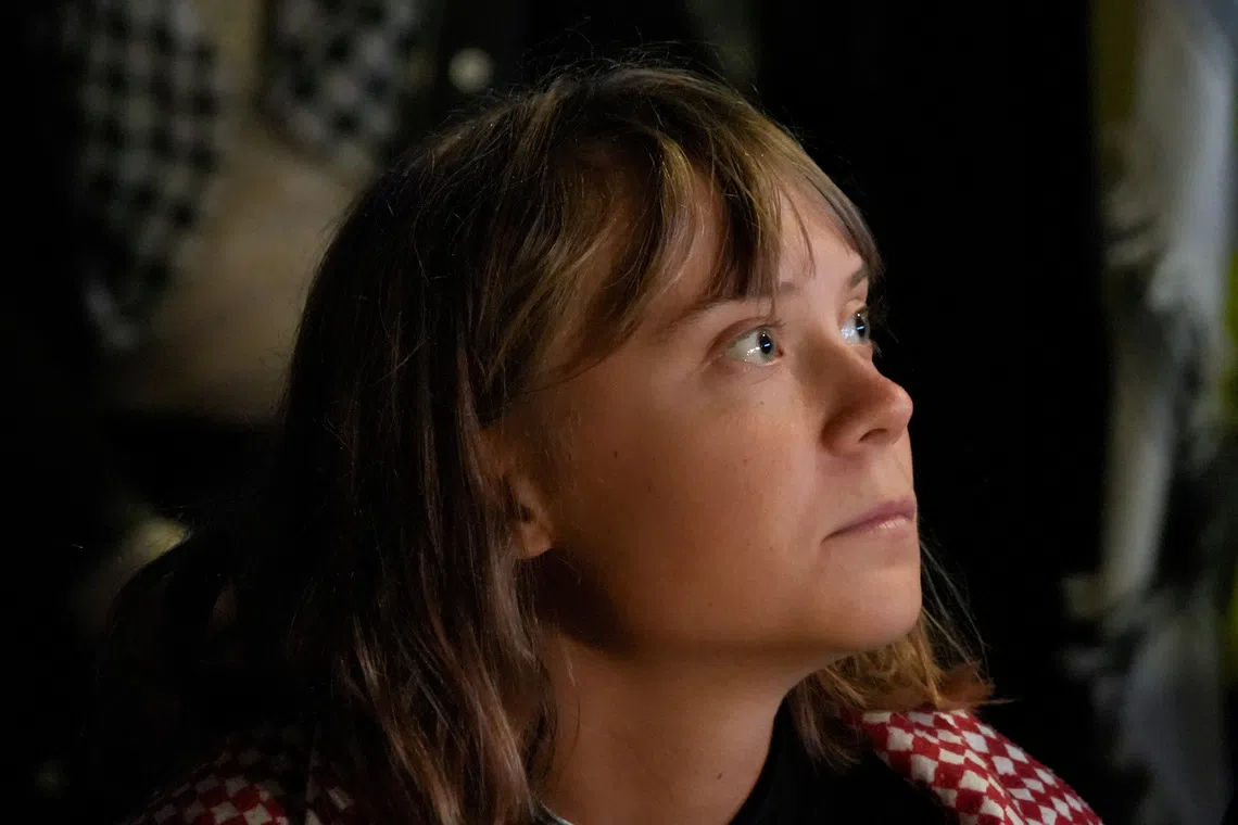 Peter Thiel criticised financial regulations as signs that a world government has begun to emerge that could be taken over by an Antichrist figure like Greta Thunberg (pictured). 