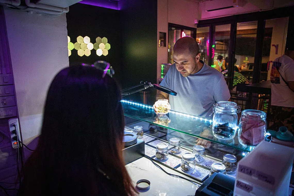 A customer selects marijuana for purchase at a dispensary in the Asoke neighbourhood of Bangkok.