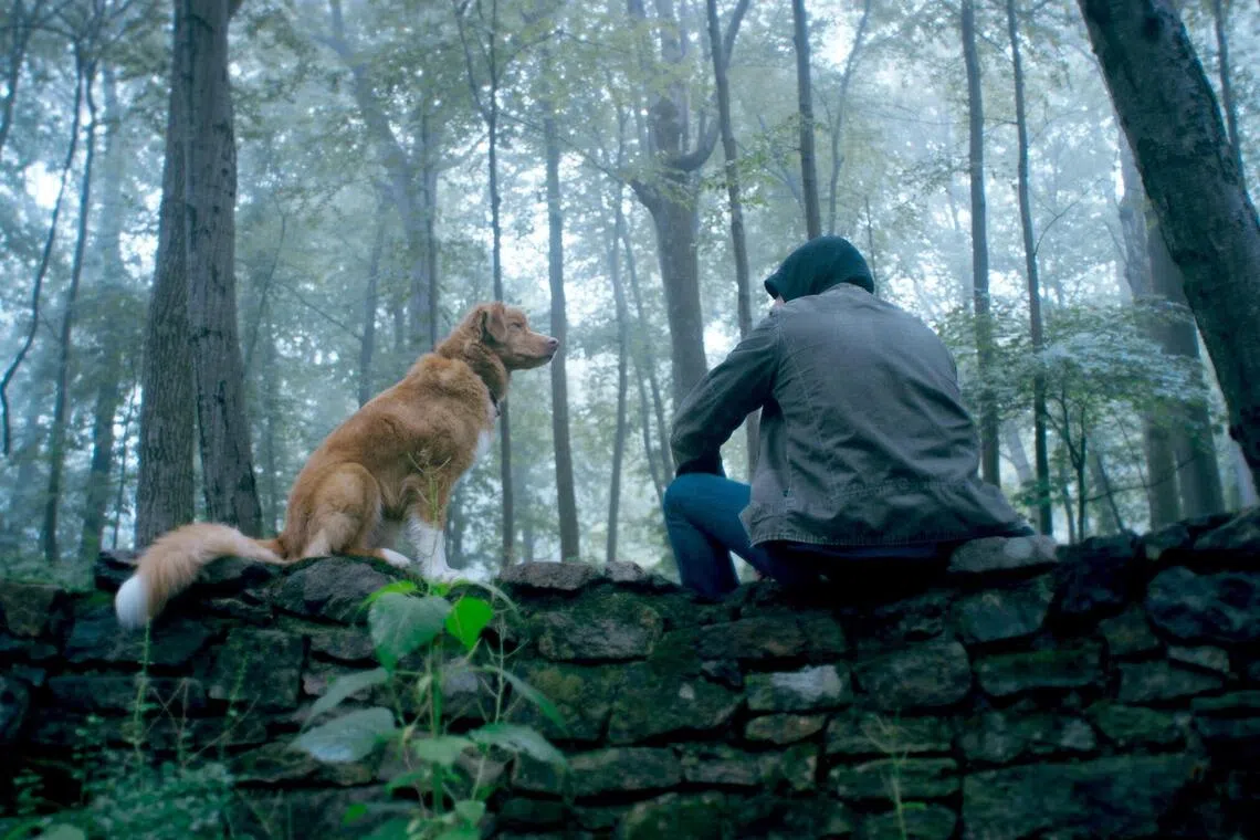 jsmovie26 - Good Boy, starring Indy the retriever.
Source/ Copyright: SHAW