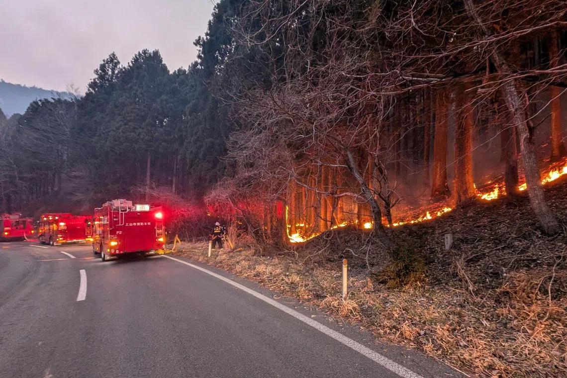 Firefighters battling a wildfire near the city of Ofunato, Iwate Prefecture on March 2, 2025.