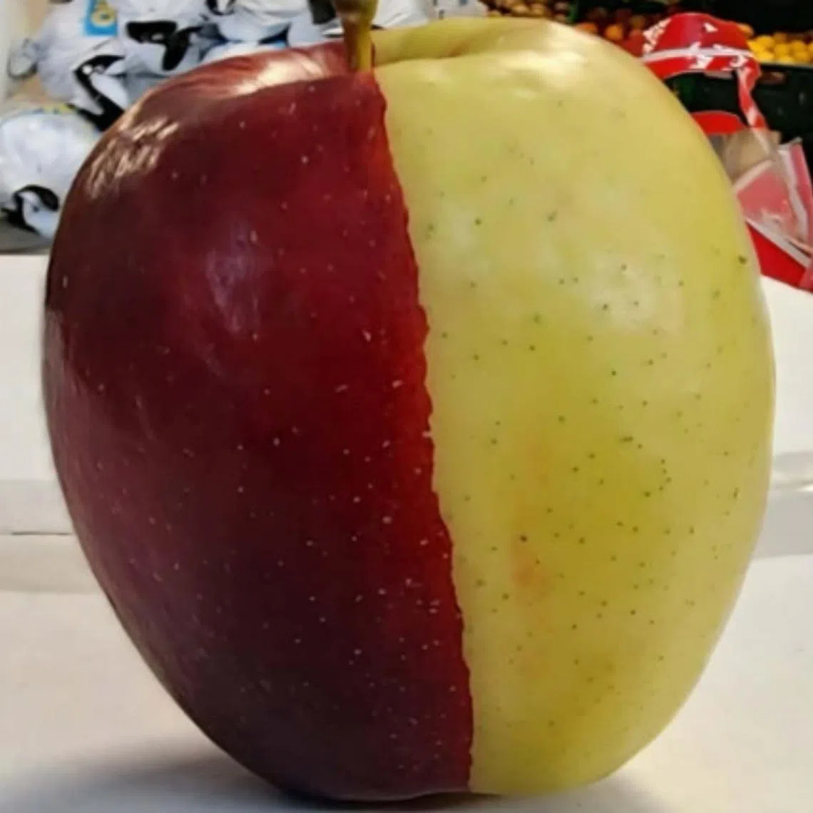 Also known as a chimera apple, the fruit resulted from a genetic mutation that causes the apple to form from cells from two different genetic backgrounds.