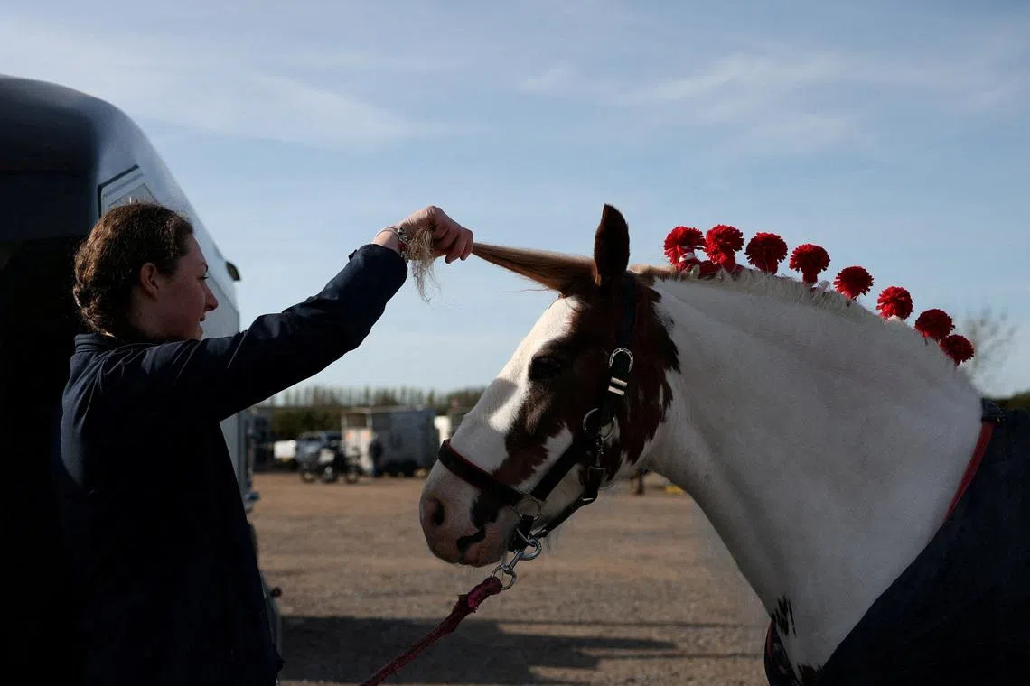 A young woman preparing a horse ahead of the start of the London Horse Harness Parade, an event bringing together over 100 horse-drawn vehicles and carriages alongside classic motorised vehicles, in Ardingly, West Sussex, Britain, April 6, 2026. 