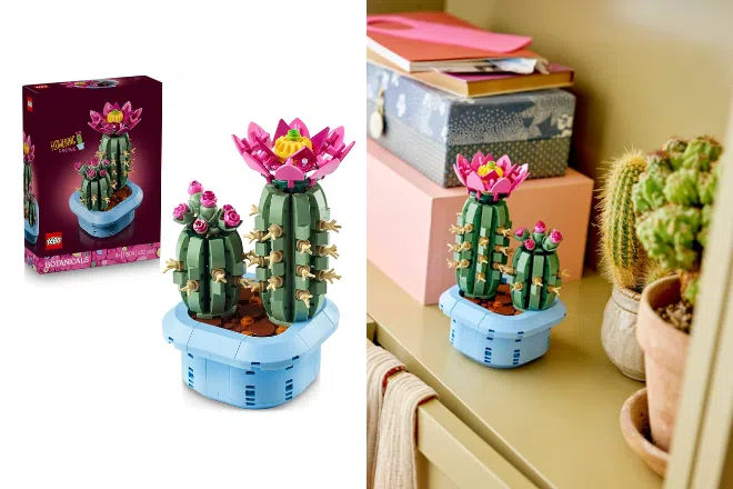 LEGO The Botanical Collection Flowering Cactus 11509