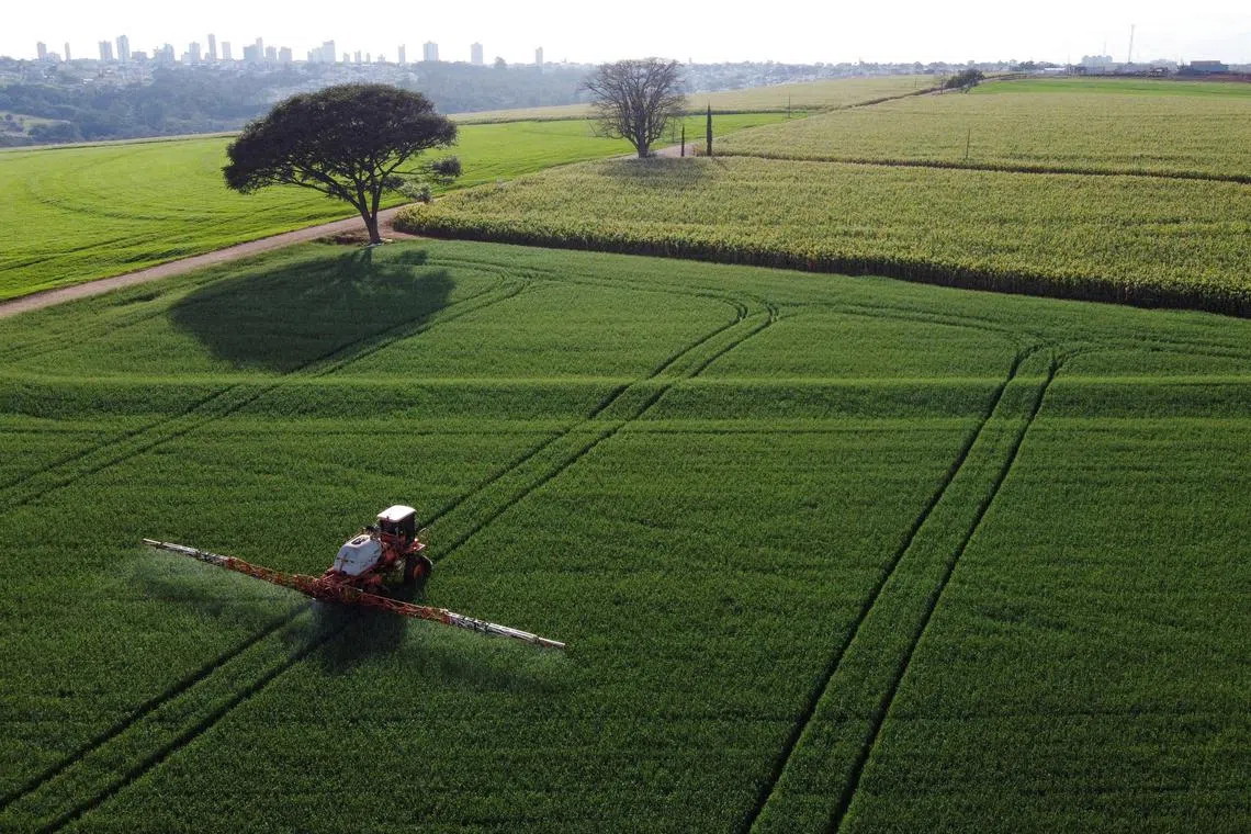 FILE PHOTO: A tractor sprays pesticides on wheat crops to be harvested this year, in Arapongas, Brazil July 6, 2022. REUTERS/Rodolfo Buhrer/File Photo