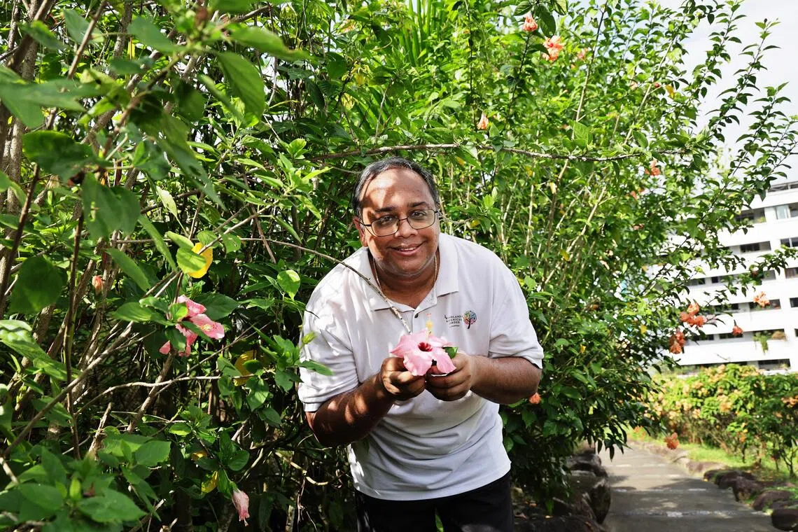 Mr Ganesh Kumar, founder of Woodlands Botanical Garden, with a pink hibiscus – the first plant he planted at the garden