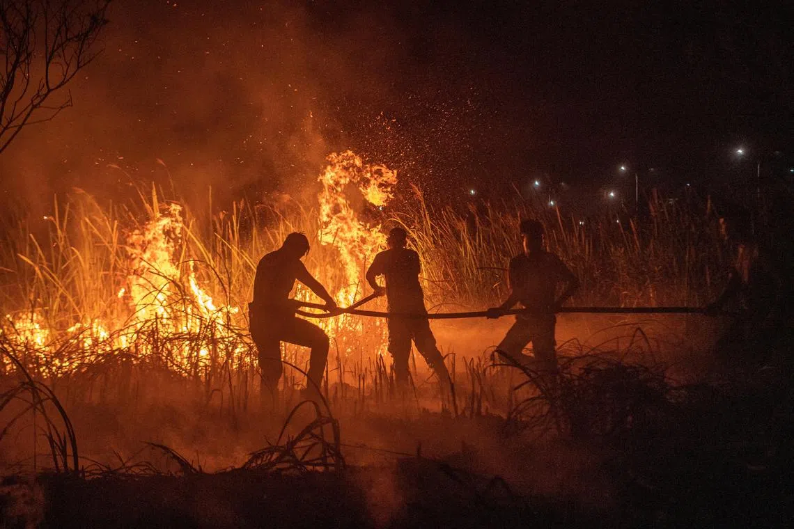 Police officers use a hose in an effort to extinguish wildfires in Ogan Ilir regency, South Sumatra province on Sept 20.   