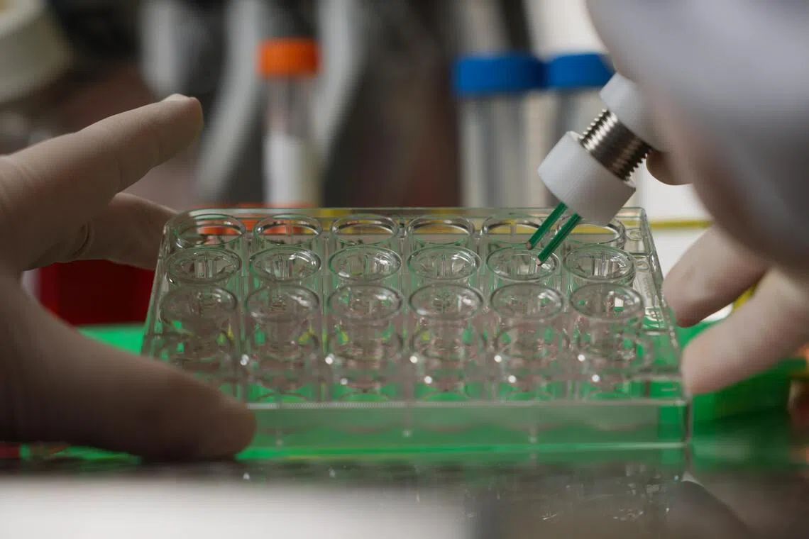 A trans epithelial electrical resistance device is used regularly to check the integrity of the air-liquid interface cell barrier.