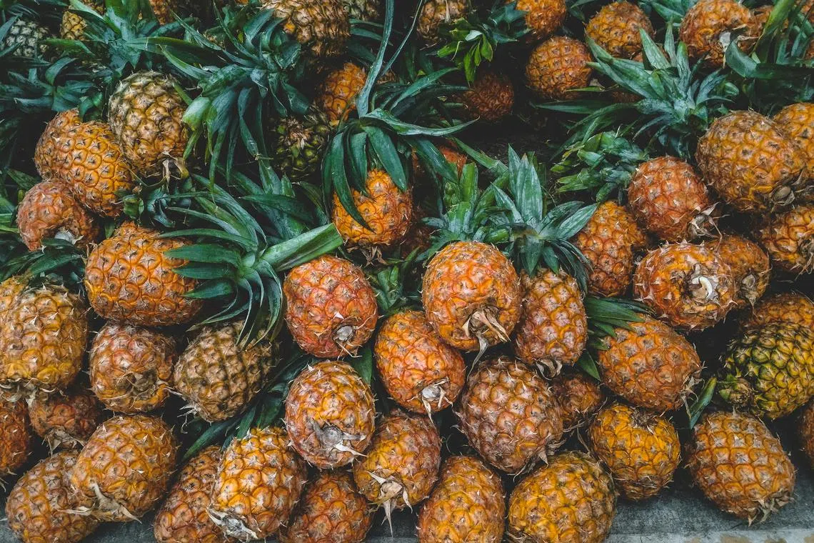 Malaysia  has more than 8,000 pineapple growers and over 300 companies involved in the sector.