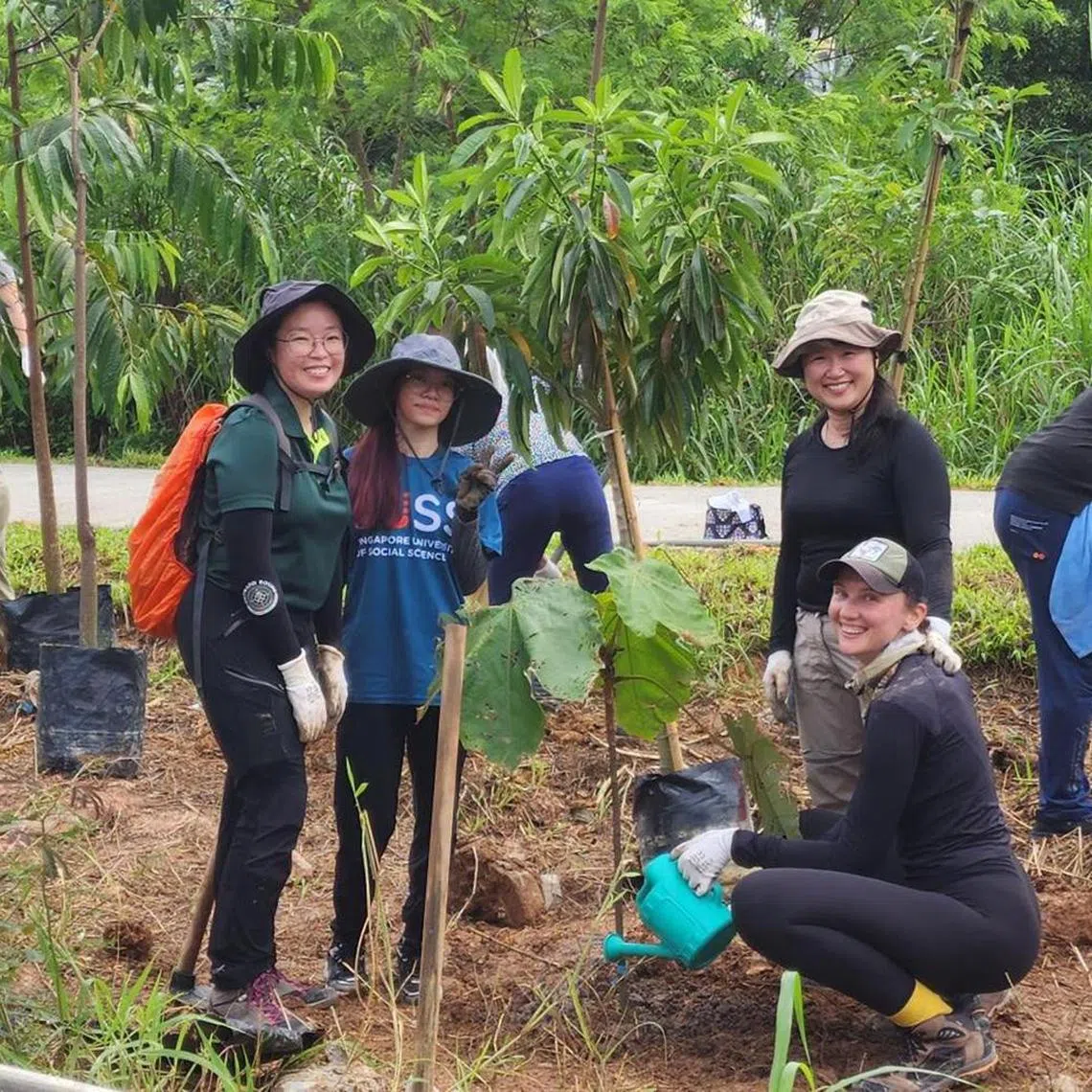 aqrewild - Nature Society (Singapore) volunteers planting trees in Sungei Kadut along the Northern stretch of Rail Corridor as part of the society's rewilding project launched on Friday. The society will rewild a 1.2km-long part of the route between the Kranji War Memorial and Sungei Kadut Avenue.

Credit: Nature Society (Singapore)