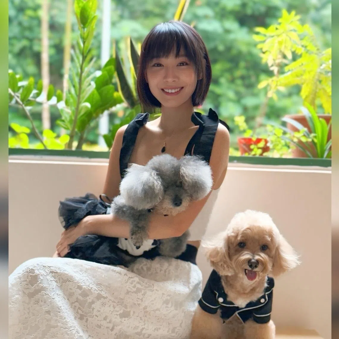 Actress Julie Tan and her dogs, Tinkerbell (left), a 19-year-old silver toy poodle, and Waffles (right), a 10-year-old beige maltipoo.