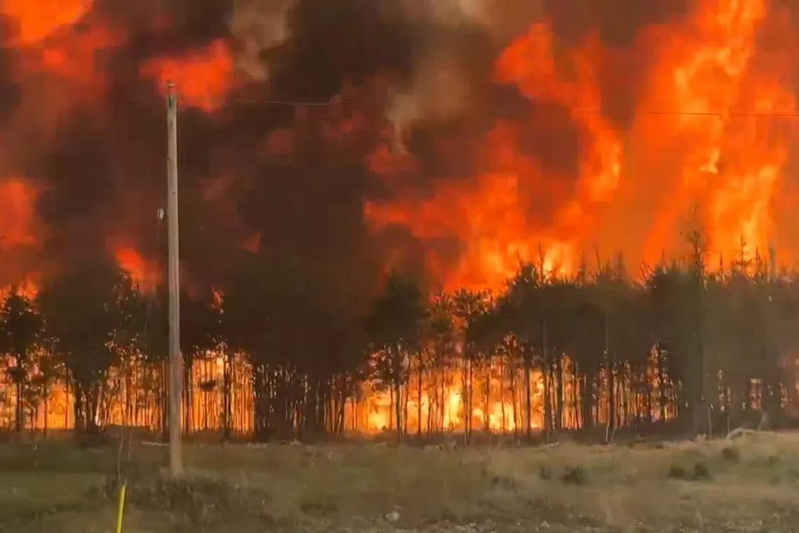 epa12145315 A handout photo made available by the Government of Manitoba shows a large wildfire spreading northwest of the town of The Pas in Manitoba, Canada, 29 May 2025 (issued 30 May 2025). The wildfire has prompted the evacuation of thousands of residents, and a state of emergency was declared in the province.  EPA-EFE/GOVERNMENT OF MANITOBA/ HANDOUT --BEST QUALITY AVAILABLE--HANDOUT EDITORIAL USE ONLY/NO SALES