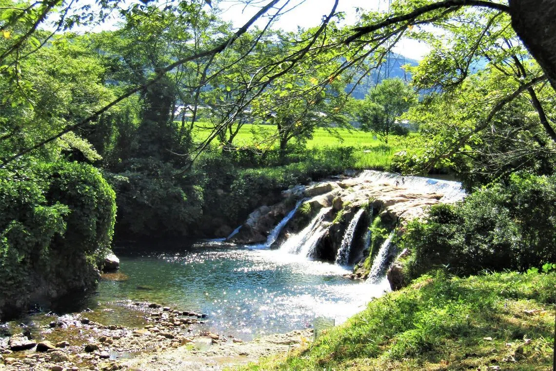 The body of the boy was found in the basin of a waterfall near his school in Ishikawa prefecture in central Japan.