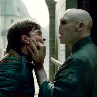 In the wizarding world, good people like Harry Potter represent liberal values in a contest against darker forces embodied by Lord Voldemort, says the writer. 