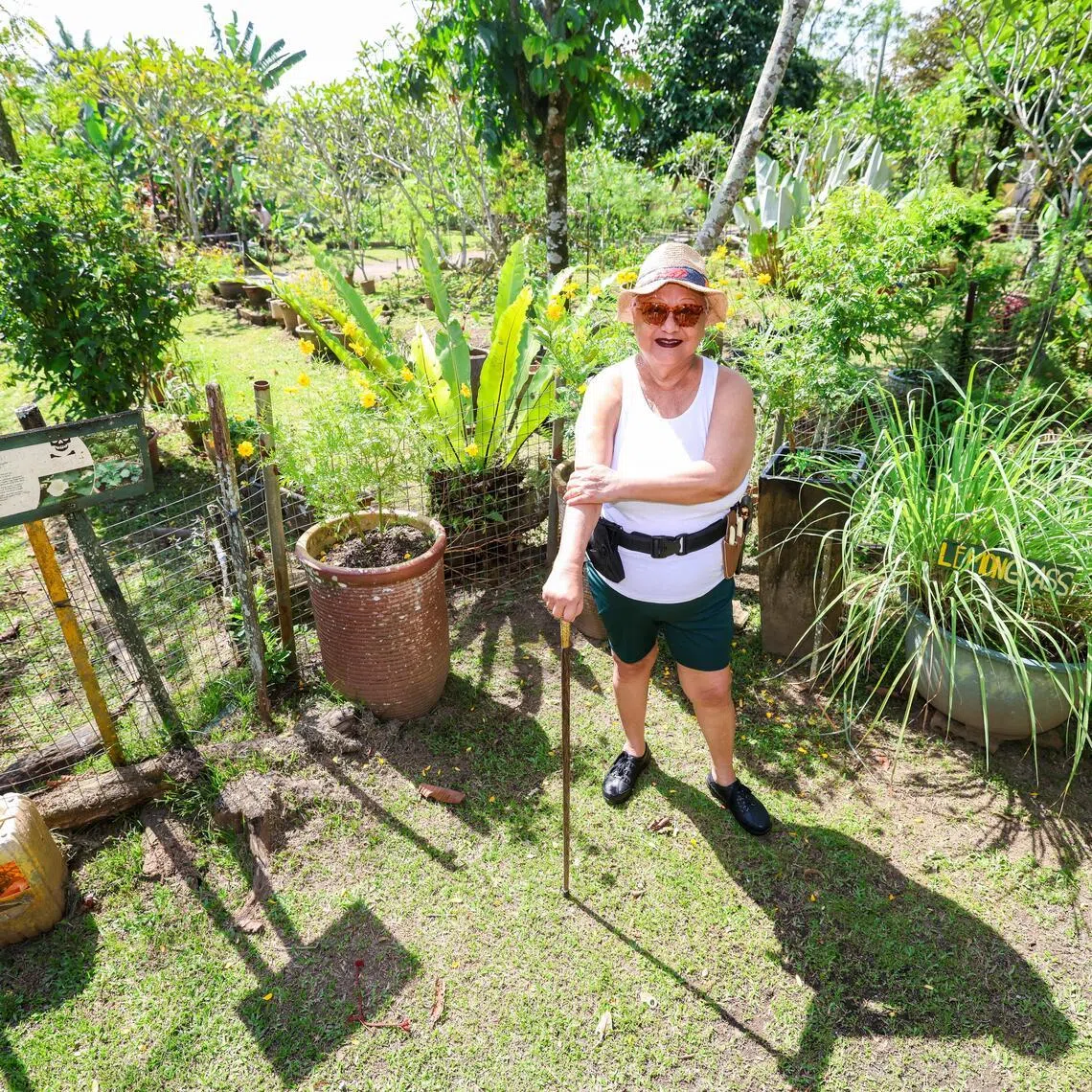 Mrs Ivy Singh-Lim co-founded Bollywood Veggies with her husband Lim Ho Seng in 2021. It is today known as Bollywood Farms.
