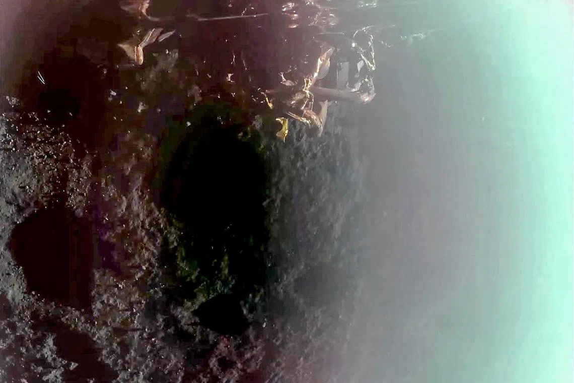 The first image from the lander revealed the rocky, pockmarked terrain it had to autonomously navigate in order to select its touchdown spot.