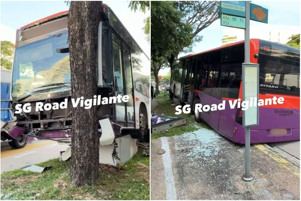 A traffic light control box and a bus stop advertisement panel appear to have been severely damage.