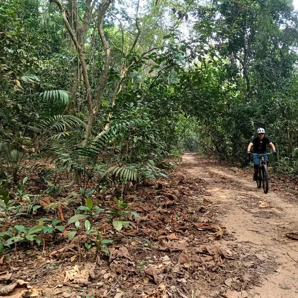 Stretching some 5km from Mandai Lake Road to the backyard of Bukit Panjang somewhere in the middle of the Central Catchment Nature Reserve, the Gangsa Track is one of the more ulu trails you can find in Singapore.