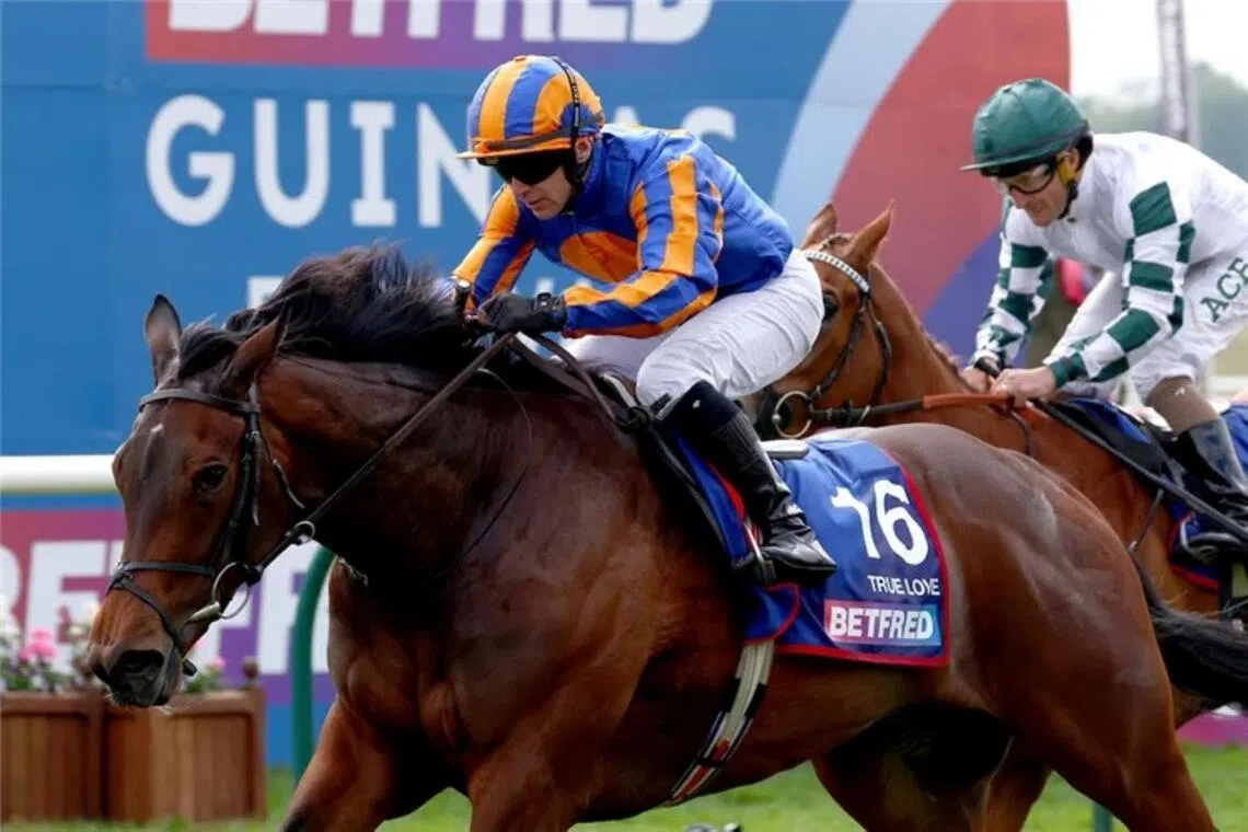True Love to conquer all in Deauville