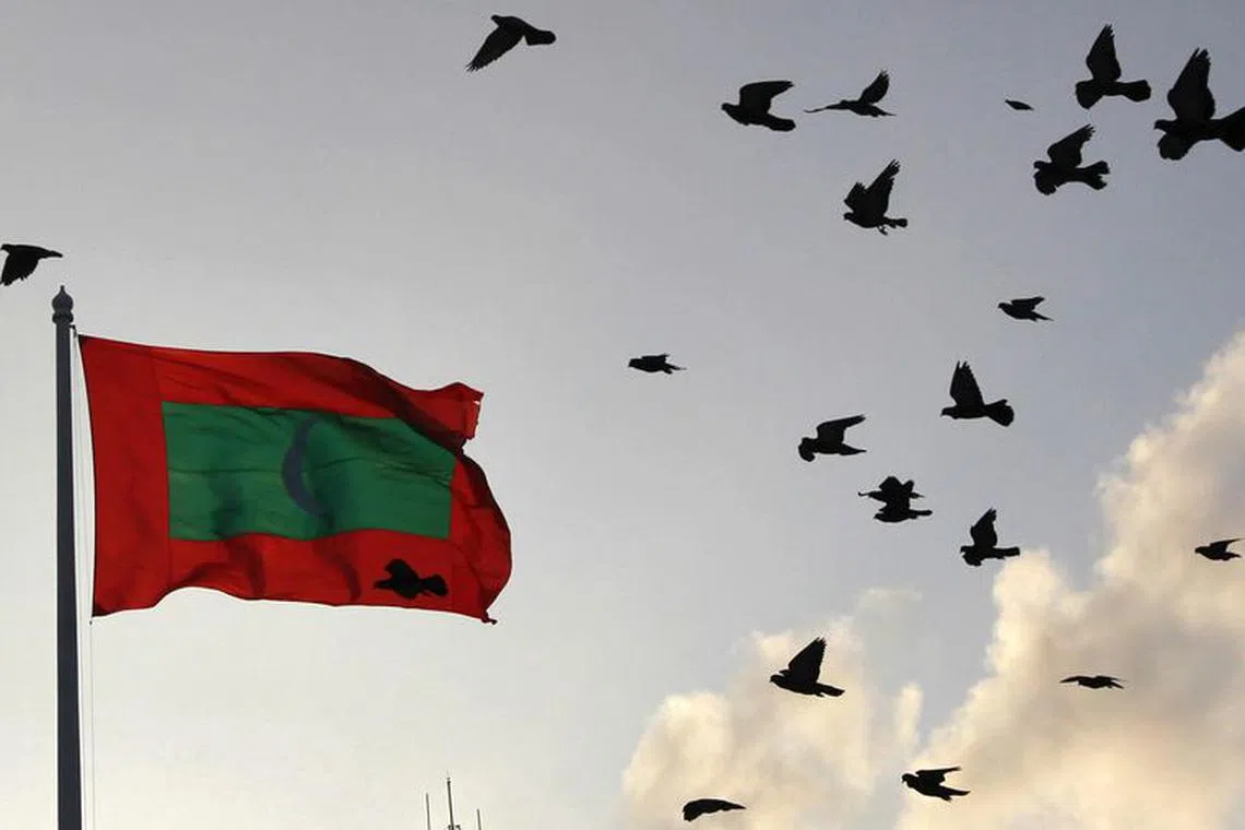 A Maldives national flag flutters as pigeons fly past during the morning in Male February 8, 2012.  REUTERS/Dinuka Liyanawatte/file photo