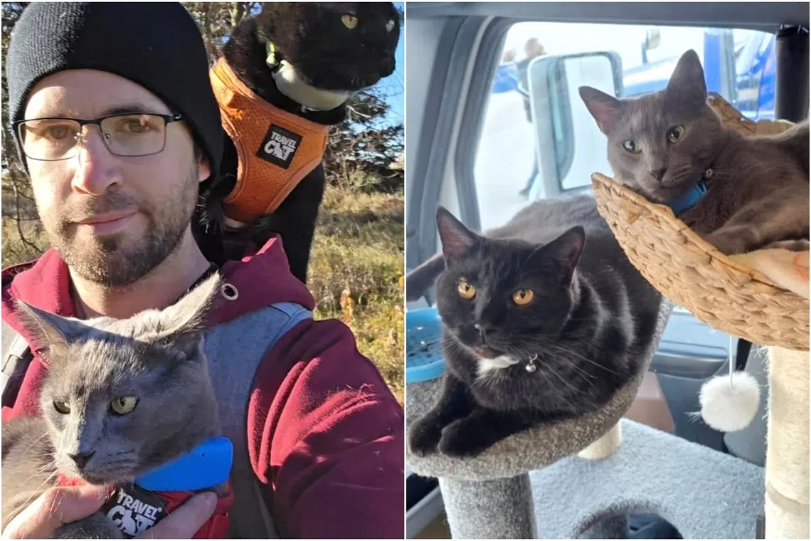 Joseph Clayson’s cats Smoke and Medivh travel with him in a special setup in his truck.