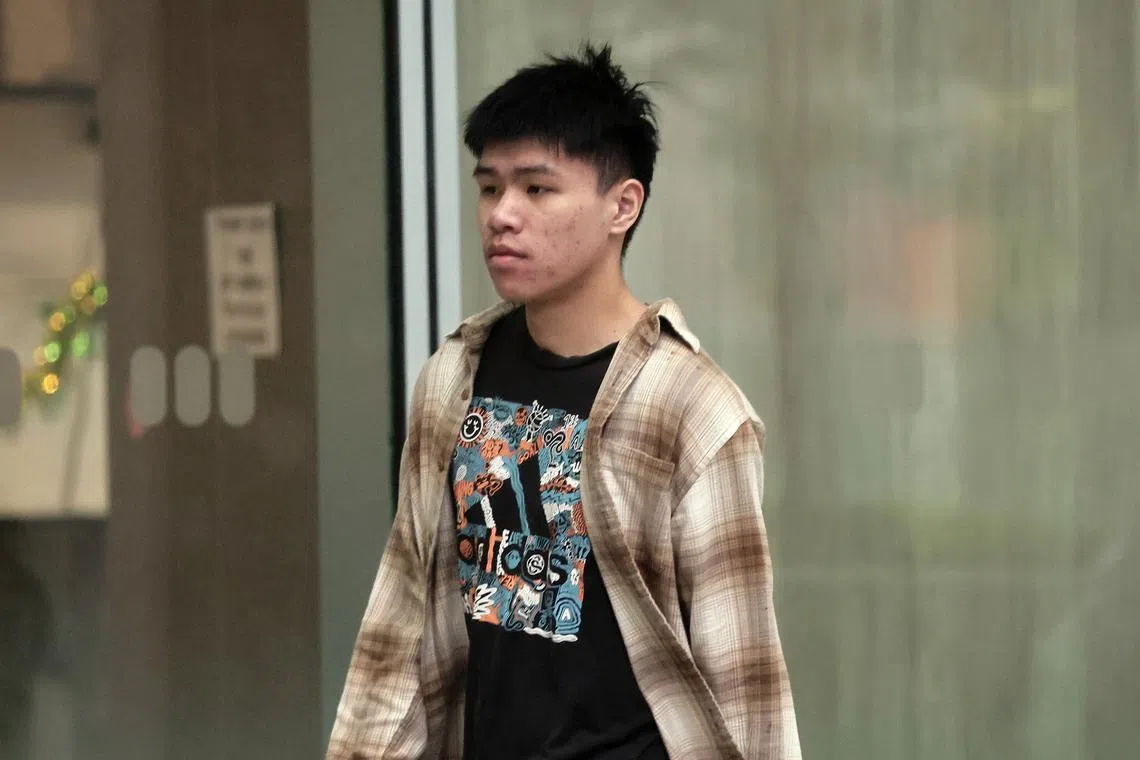 Chinese national Li Jiarui pleaded guilty to two charges. 